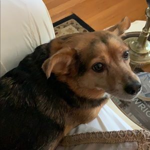 Meet your Posher, Dana